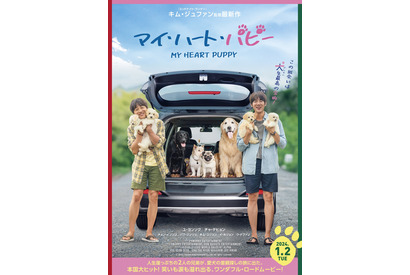 ユ・ヨンソク＆チャ・テヒョンが子犬たちに囲まれる『マイ・ハート・ パピー』ポスター＆特報映像 画像