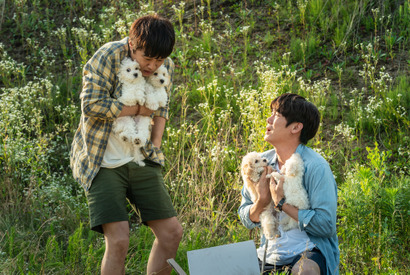 ユ・ヨンソク来日記念舞台挨拶も決定　『マイ・ハート・パピー』ワンちゃん続々の予告映像＆場面写真 画像