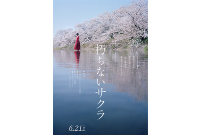 杉咲花、「孤狼の血」柚月裕子原作『朽ちないサクラ』に主演　世の不条理と巨大な闇に立ち向かう 画像