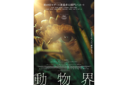 人間が動物化する世界を描くフランス映画『動物界』11月公開 画像
