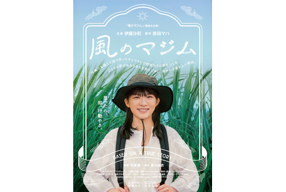 伊藤沙莉、サトウキビ畑で希望の笑顔『風のマジム』ティザービジュアル完成 画像