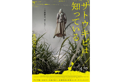 暗闇から何者かが襲い掛かる…！インドネシア製ホラー『サトウキビは知っている』4月10日公開 ティザービジュアル＆特報 画像