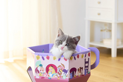 猫がすっぽり入る！映画『ふしぎの国のアリス』デザインの「ティーカップ型の猫の爪とぎ」1月26日販売開始 画像