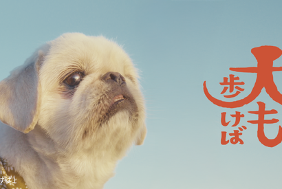 フォワー18万人超えの人気犬が前野朋哉と共演、短編映画『犬も歩けば』YouTubeにて公開 画像