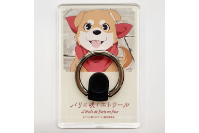 【プレゼント】『パリに咲くエトワール』フジコの愛犬・マメゾウのオリジナルスマホリング3名様 画像