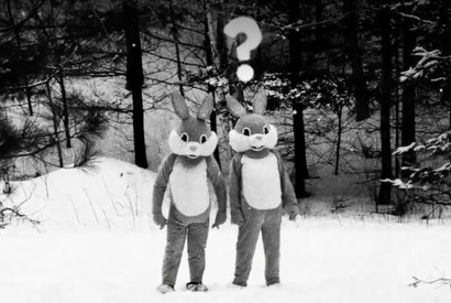 雪山で着ぐるみうさぎがモフモフ大乱闘!?　『FEVER ビーバー！』本編映像を独占入手 画像