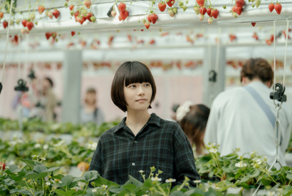 「一際輝いてた」「小太郎こそが世界平和」杉咲花“文菜”のそばに居続ける岡山天音“小太郎”に賞賛の声上がる…「冬のなんかさ、春のなんかね」最終話 画像