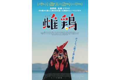 主演・ニワトリ！ CG＆AIほぼなし撮影でニワトリから見た人間社会描く『雌鶏』9月25日公開 画像