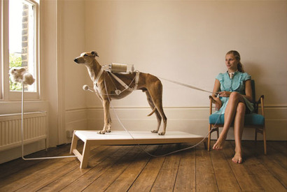 別世界への入口へ誘う展覧会「うさぎスマッシュ展 世界に触れる方法（デザイン）」 画像