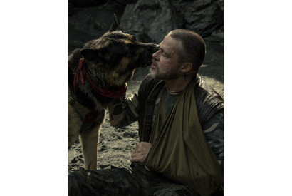 ブラッド・ピット「本当に素晴らしい」人間と犬の絆に注目『ハート・オブ・ビースト』特別映像 画像