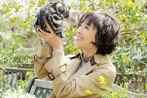 宮沢りえ、ドラマ版「グーグーだって猫である」主演決定！　監督は犬童一心に 画像