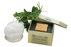 「ガミラシークレット」の極上泡パックで、夏の毛穴引き締め＆テカリを防止！ 画像