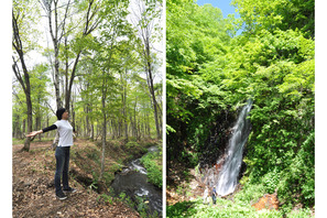 スパ＆森林セラピーで究極のデトックス体験！ 妙高高原に2泊3日のビューティトリップ 画像