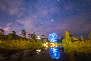 【NZホビット・ツアー】ライトアップで幻想的な世界に！ ホビット庄に潜入・後半 画像