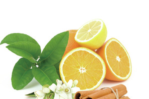 漢方ビューティーイベント開催！ 漢方の力で冷え・乾燥を徹底ケア 画像