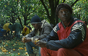 【MOVIEブログ】2015カンヌ映画祭 Day8 画像