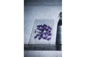 まるで押し花のようなハーブティー！　原宿「ロケット」でお披露目 画像