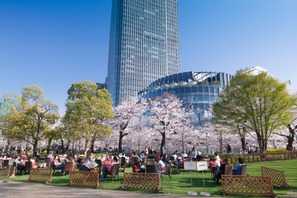 東京ミッドタウン「Midtown Blossom 2016」でお花見グルメ＆スイーツを満喫！ 画像
