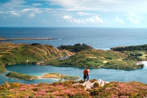 【特別映像】緑豊かなアイルランドの大自然を堪能！『フラワーショウ！』 画像