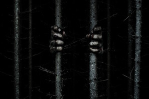 その森、危険！米版『デスノート』監督が贈る謎のスリラー『ザ・ウッズ』公開へ 画像