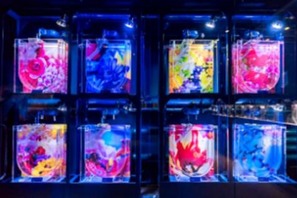 「すみだ水族館」で「ふわきゅん、クラゲまつり」開催！クラゲの神秘的な世界に浸るイベント満載 画像