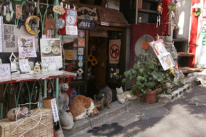 レトロで不思議なネコ屋敷・谷中「ねんねこ家」で、 気まぐれネコと戯れる 画像