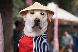 日本代表にもご利益？　きな子、劇中コスプレ写真＆日本代表バージョンも到着！ 画像