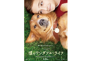 “3度も生まれ変わった”犬と少年のラブストーリー『僕のワンダフル・ライフ』公開へ 画像
