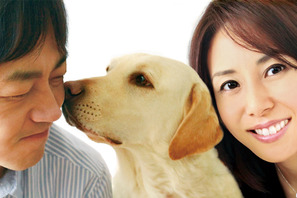 ペットを飼いたくなる!?　『犬とあなたの物語』で検証、“犬”と“人”の関係 画像