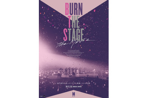 Burn the Stage : the Movie