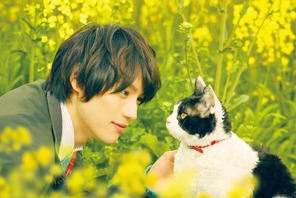 福士蒼汰出演『旅猫リポート』未公開カットを追加した「TV特別版」を放送 画像