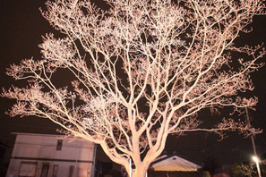 世界中が待ち望んだ園子温最新作『希望の国』　個性派キャストが新たに発表！ 画像