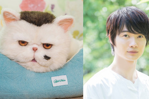 「おじさまと猫」神木隆之介が“ふくまる”の声を担当！「純粋でまっすぐな子」 画像