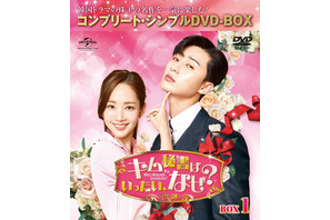 パク・ソジュン主演で話題沸騰「キム秘書はいったい、なぜ？」コンプリート・シンプル版リリース 画像