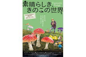 “きのこ”の驚異に迫るドキュメンタリー『素晴らしき、きのこの世界』Blu-ray＆DVD3月25日発売 画像