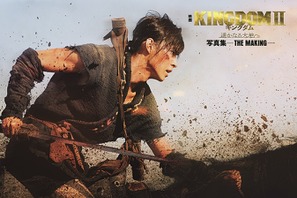 山崎賢人＆清野菜名のインタビュー収録『キングダム2』ビジュアルドキュメント発売！ 写真先行公開 画像