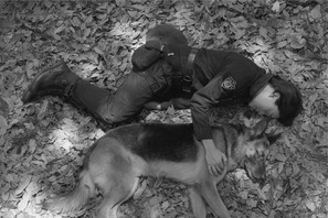 オダギリジョー×池松壮亮共演「オリバーな犬」S2、9月20日放送 画像