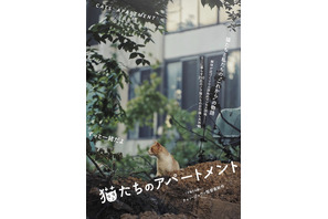 『子猫をお願い』女性監督がとらえた250匹の猫の“お引越し”『猫たちのアパートメント』公開 画像