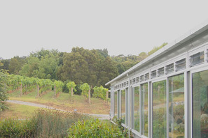 【MOVIEブログ】ニュージーランドへ行ってきました。 画像