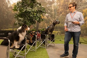 映画『スラムドッグス』監督「犬中心の環境を作り上げた」“ドッグ・ファースト”な撮影現場を収めた特別映像 画像