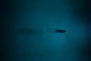 『ナイトスイム』監督が“水への恐怖”語る特別映像「恐怖と畏敬の念を抱く」 画像