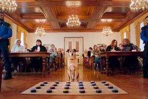 ボタンを使って“被告犬”が証言？『犬の裁判』本編映像 画像