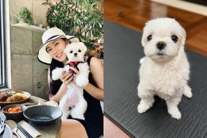 『愛の不時着』ソン・イェジン、愛犬とのささやかな日常に“ほっこり”。「おやつも食べたのに…」【PHOTO】 画像