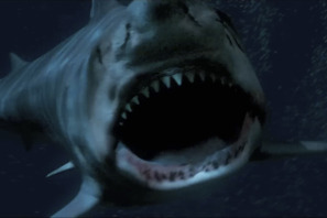 サメが大豊漁！新旧注目サメ映画を上映　第2.5回東京国際サメ映画祭開催決定 画像