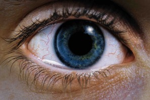 「心が砕ける」「落ち込む映画」第1位、トラウマ級の傑作『レクイエム・フォー・ドリーム』4Kリマスター版公開 画像