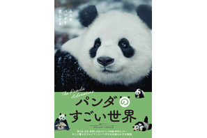 パンダのすごい世界