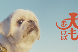 フォロワー18万人超えの人気犬が前野朋哉と共演、短編映画『犬も歩けば』YouTubeにて公開 画像