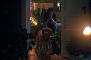 “何か”が見える…犬のインディ、飼い主を守るため奮闘　全編犬視点のホラー映画『GOOD BOY／グッド・ボーイ』特報＆本ポスター 画像