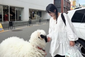 6月に出産予定の『太陽を抱く月』女優ナム・ボラ、道で出会った羊との2ショットを公開【PHOTO】 画像