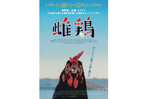 雌鶏